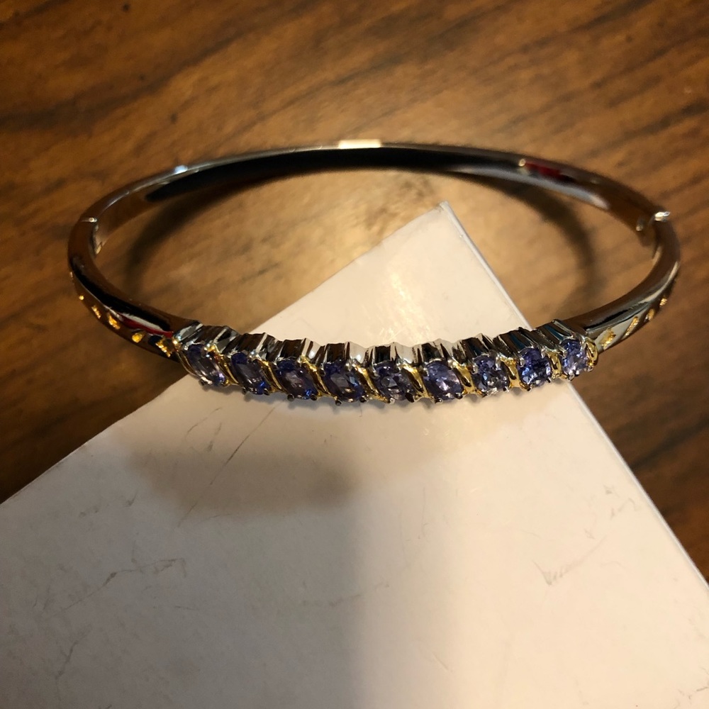 Gorgeous Shiny Tanzanite Stainless Steel Bangle